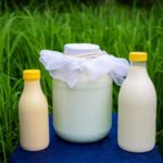 Lactose Intolerance for Personal Chefs