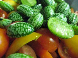 A personal approach to fine food