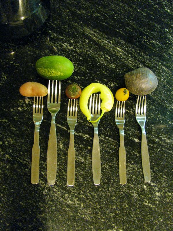 Pure skill in action