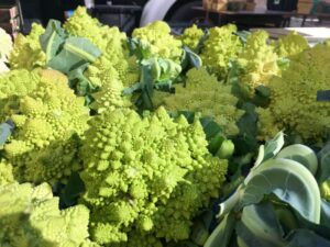 Vanda in her happy place