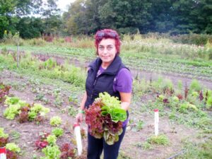 Where ingredients transform into experiences