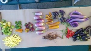 This chef knows exactly what she’s doing