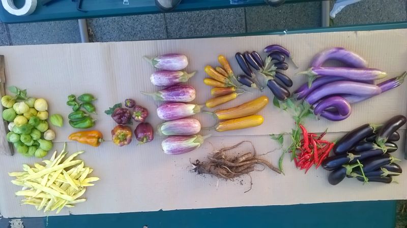 This chef knows exactly what she’s doing