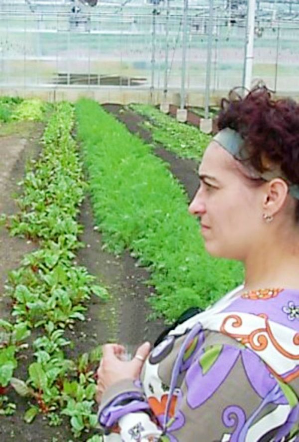 Vanda where the magic happens