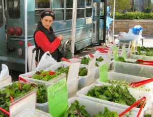 Vanda doing her thing ✨